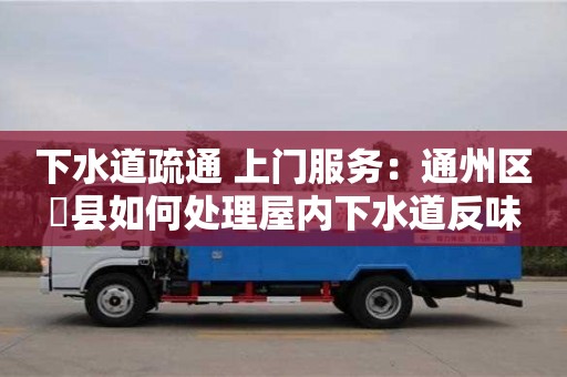 下水道疏通 上門服務：通州區漷縣如何處理屋內下水道反味