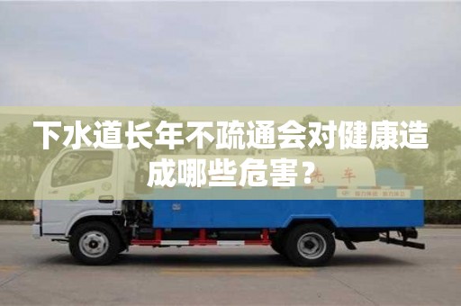 下水道長年不疏通會對健康造成哪些危害? 下水道長年不疏通會對健康造成哪些危害?