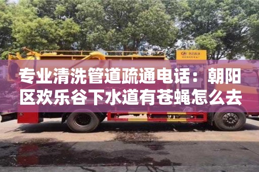 專業清洗管道疏通電話：朝陽區歡樂谷下水道有蒼蠅怎么去除