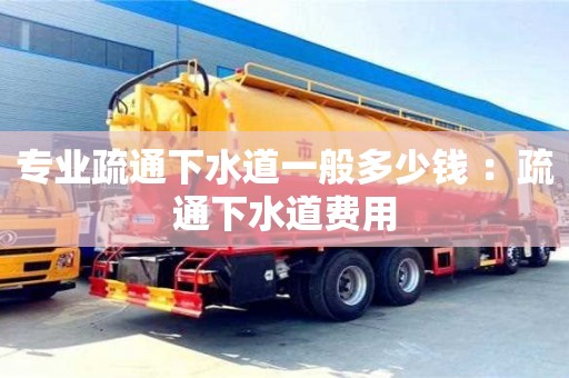 石家莊專業疏通下水道一般多少錢 ：疏通下水道費用