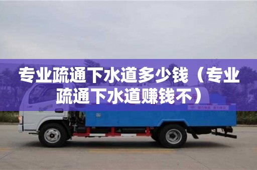 專業疏通下水道多少錢（專業疏通下水道賺錢不）