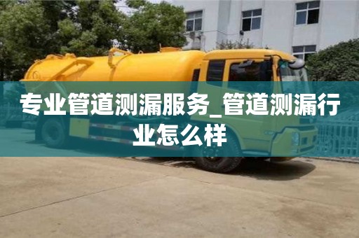 專業管道測漏服務_管道測漏行業怎么樣