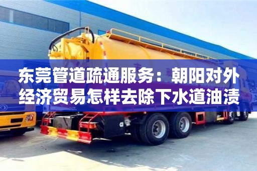 北京東莞管道疏通服務：朝陽對外經濟貿易怎樣去除下水道油漬