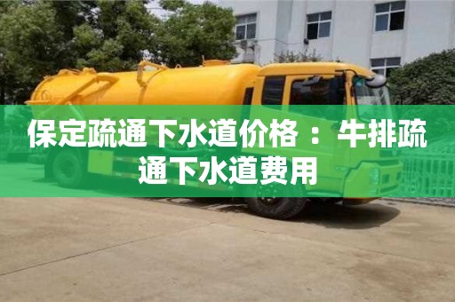 武漢保定疏通下水道價格 ：牛排疏通下水道費(fèi)用