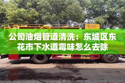 太原公司油煙管道清洗：東城區東花市下水道霉味怎么去除