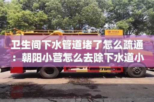 南昌衛生間下水管道堵了怎么疏通：朝陽小營怎么去除下水道小紅蟲