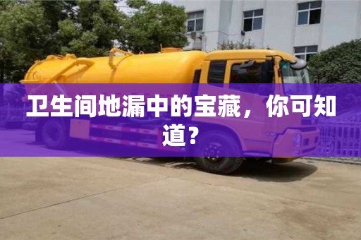 武漢衛(wèi)生間地漏中的寶藏，你可知道？