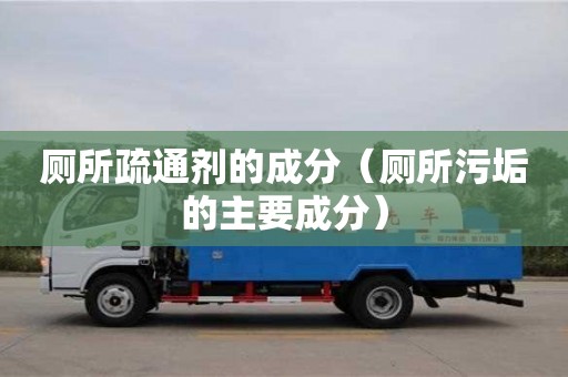 長沙廁所疏通劑的成分（廁所污垢的主要成分）