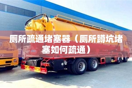 西安廁所疏通堵塞器（廁所蹲坑堵塞如何疏通）