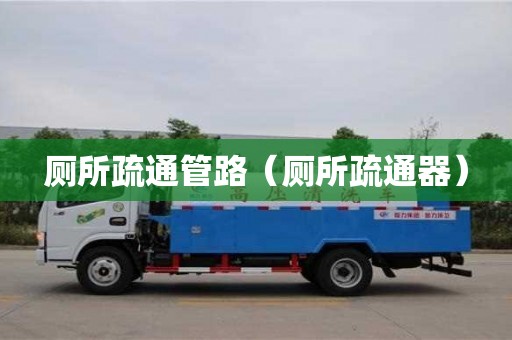 武漢廁所疏通管路（廁所疏通器）