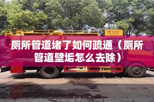 廁所管道堵了如何疏通（廁所管道壁垢怎么去除）