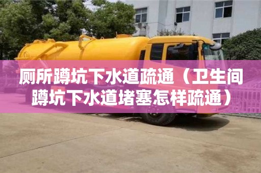 長沙廁所蹲坑下水道疏通（衛生間蹲坑下水道堵塞怎樣疏通）