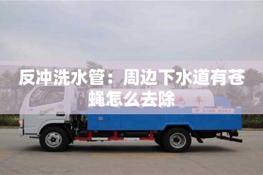 太原反沖洗水管：周邊下水道有蒼蠅怎么去除