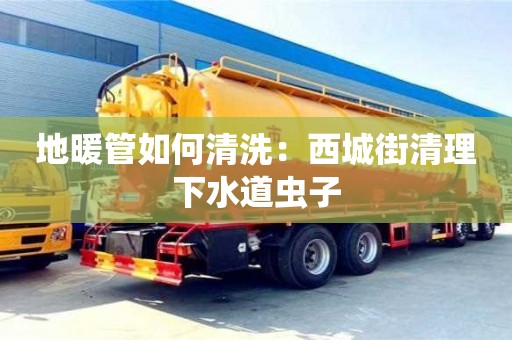 長沙地暖管如何清洗：西城街清理下水道蟲子