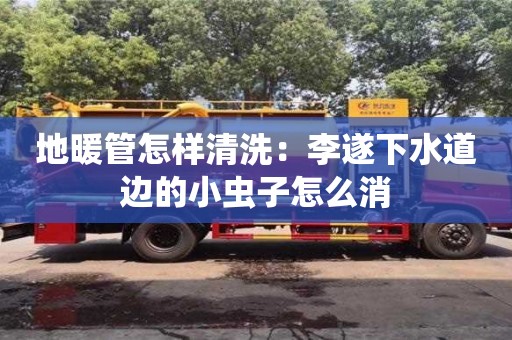 地暖管怎樣清洗：李遂下水道邊的小蟲子怎么消