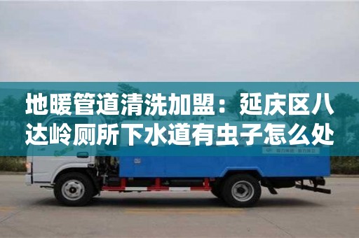 長沙地暖管道清洗加盟：延慶區(qū)八達嶺廁所下水道有蟲子怎么處理