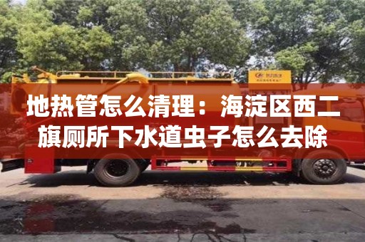北京地熱管怎么清理：海淀區西二旗廁所下水道蟲子怎么去除