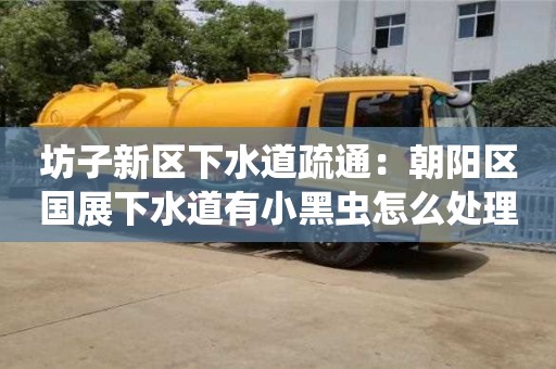 廈門坊子新區下水道疏通：朝陽區國展下水道有小黑蟲怎么處理