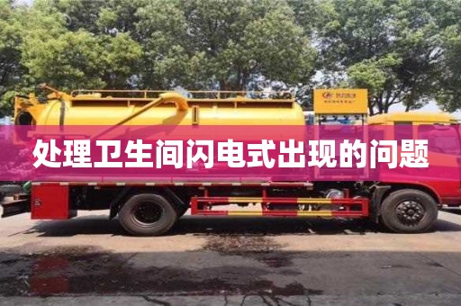 處理衛生間閃電式出現的問題 處理衛生間閃電式出現的問題