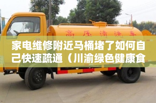 家電維修附近馬桶堵了如何自己快速疏通（川渝綠色健康食品榮縣產業園）