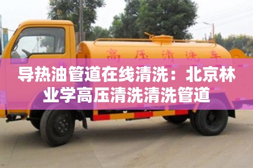 導熱油管道在線清洗：北京林業(yè)學高壓清洗清洗管道