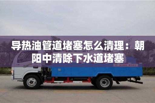 深圳導熱油管道堵塞怎么清理：朝陽中清除下水道堵塞