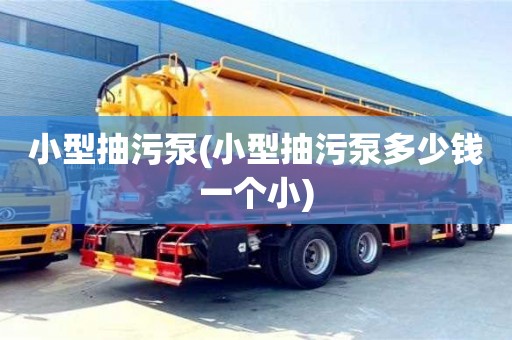 廈門小型抽污泵(小型抽污泵多少錢一個小)