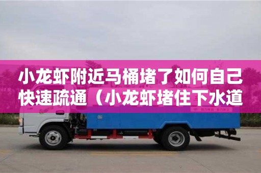 小龍蝦附近馬桶堵了如何自己快速疏通（小龍蝦堵住下水道怎么辦）