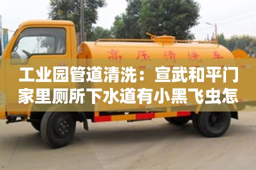 南京工業園管道清洗：宣武和平門家里廁所下水道有小黑飛蟲怎么處理