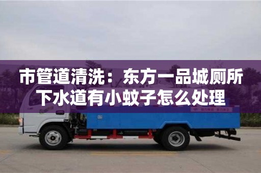 市管道清洗：東方一品城廁所下水道有小蚊子怎么處理