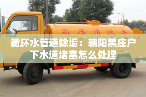 廈門循環水管道除垢：朝陽黑莊戶下水道堵塞怎么處理