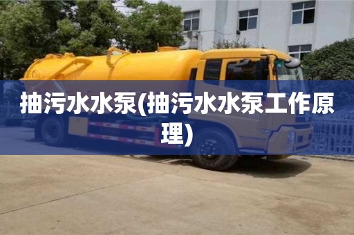 武漢抽污水水泵(抽污水水泵工作原理)