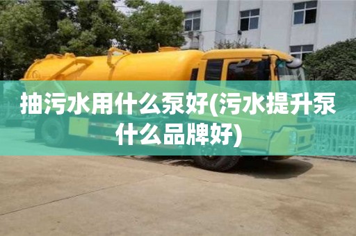 武漢抽污水用什么泵好(污水提升泵什么品牌好)