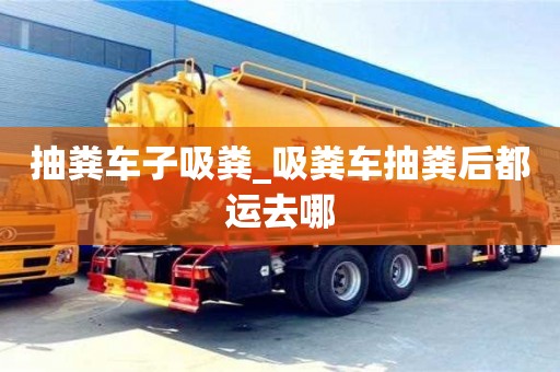 抽糞車子吸糞_吸糞車抽糞后都運去哪