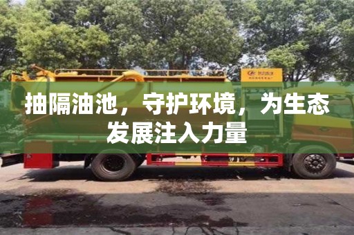 武漢抽隔油池，守護環(huán)境，為生態(tài)發(fā)展注入力量