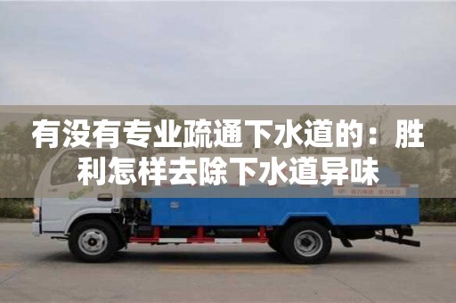 長沙有沒有專業(yè)疏通下水道的：勝利怎樣去除下水道異味