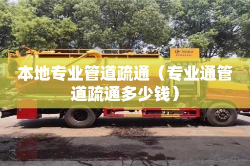 深圳本地專業管道疏通（專業通管道疏通多少錢）