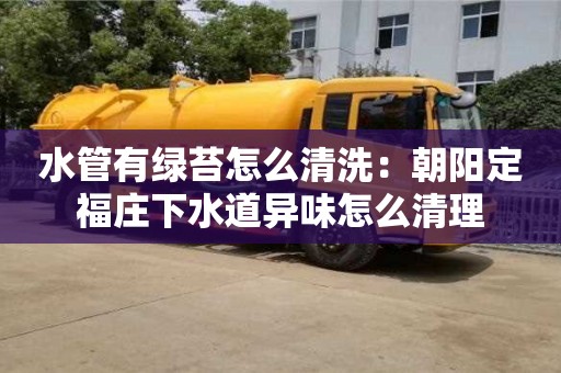 武漢水管有綠苔怎么清洗：朝陽定福莊下水道異味怎么清理