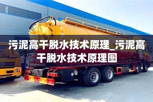 南京污泥高干脫水技術原理_污泥高干脫水技術原理圖