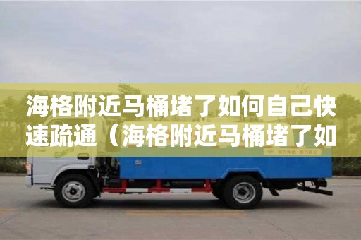 海格附近馬桶堵了如何自己快速疏通（海格附近馬桶堵了如何自己快速疏通下水）