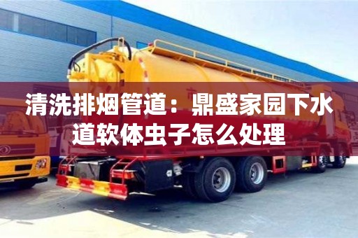 西安清洗排煙管道：鼎盛家園下水道軟體蟲子怎么處理