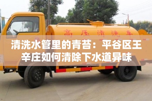 上海清洗水管里的青苔：平谷區王辛莊如何清除下水道異味