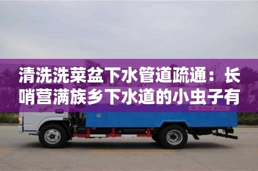 長沙清洗洗菜盆下水管道疏通：長哨營滿族鄉下水道的小蟲子有什么辦法可以除掉