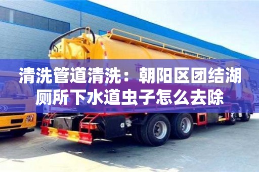 長沙清洗管道清洗：朝陽區(qū)團結湖廁所下水道蟲子怎么去除