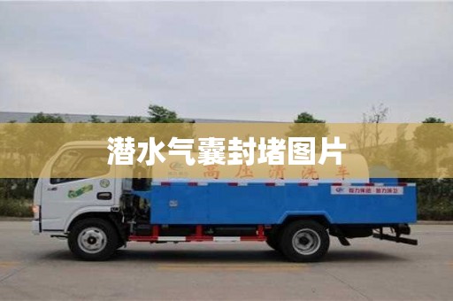 潛水氣囊封堵圖片