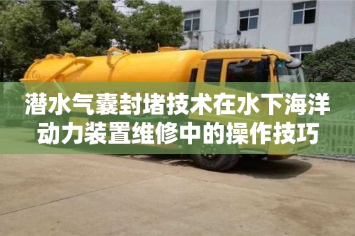 北京潛水氣囊封堵技術(shù)在水下海洋動力裝置維修中的操作技巧
