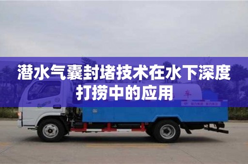 長沙潛水氣囊封堵技術在水下深度打撈中的應用