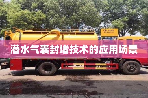 長沙潛水氣囊封堵技術的應用場景