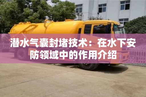 長沙潛水氣囊封堵技術：在水下安防領域中的作用介紹