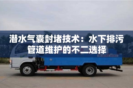 潛水氣囊封堵技術：水下排污管道維護的不二選擇